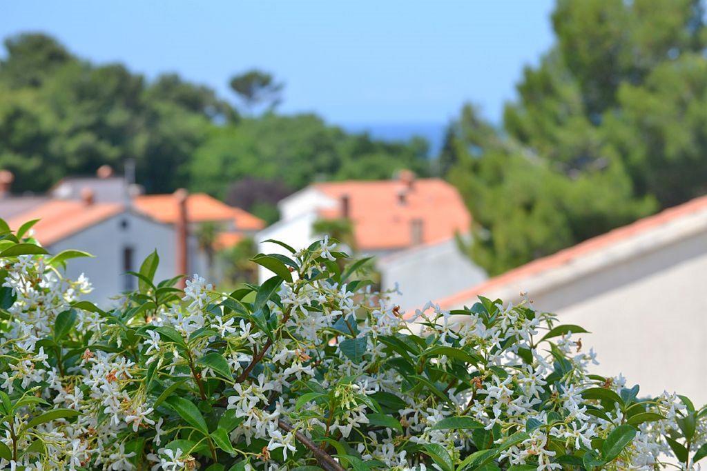 Apartments Zomzi Poreč Kültér fotó